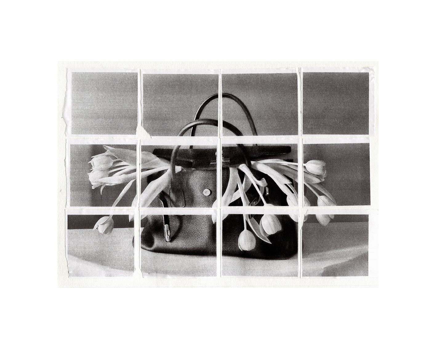"tulp in bag no.1"
