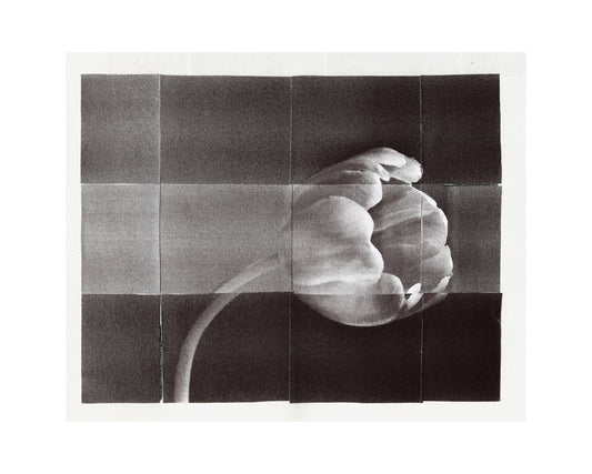 "spring stem no.2"
