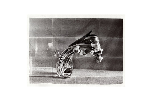 "spring stem no.1"